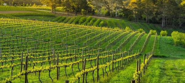 5 Stunning Weekend Escapes Around Adelaide