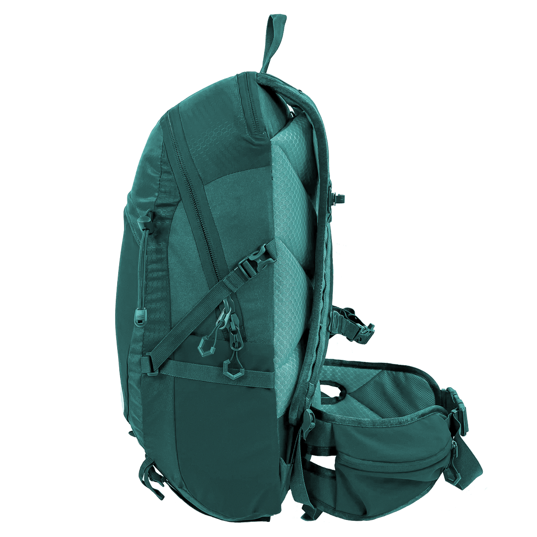 Black Wolf - Arakoon 30L Backpack - Quetzal Green-3