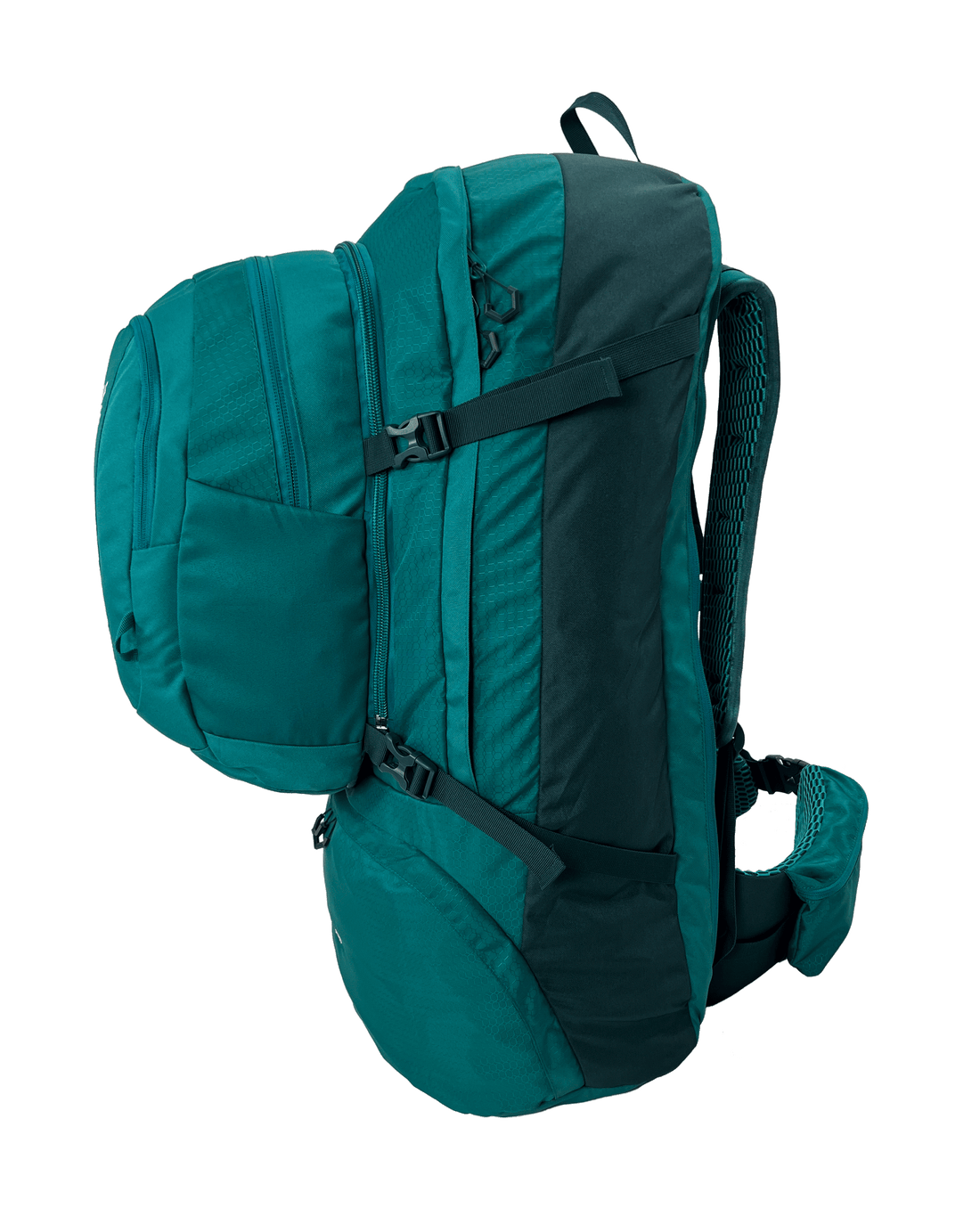 Black Wolf - Fulham II 60 Backpack - Quetzal Green/Sea Moss-3
