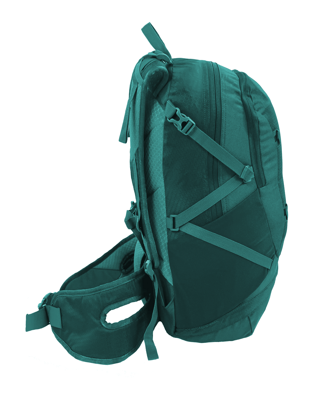 Black Wolf - Garigal 30L Backpack - Quetzal Green