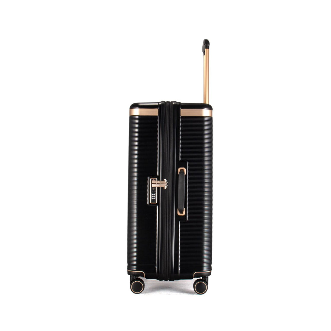 Kate Hill Phoenix Large Case - Black