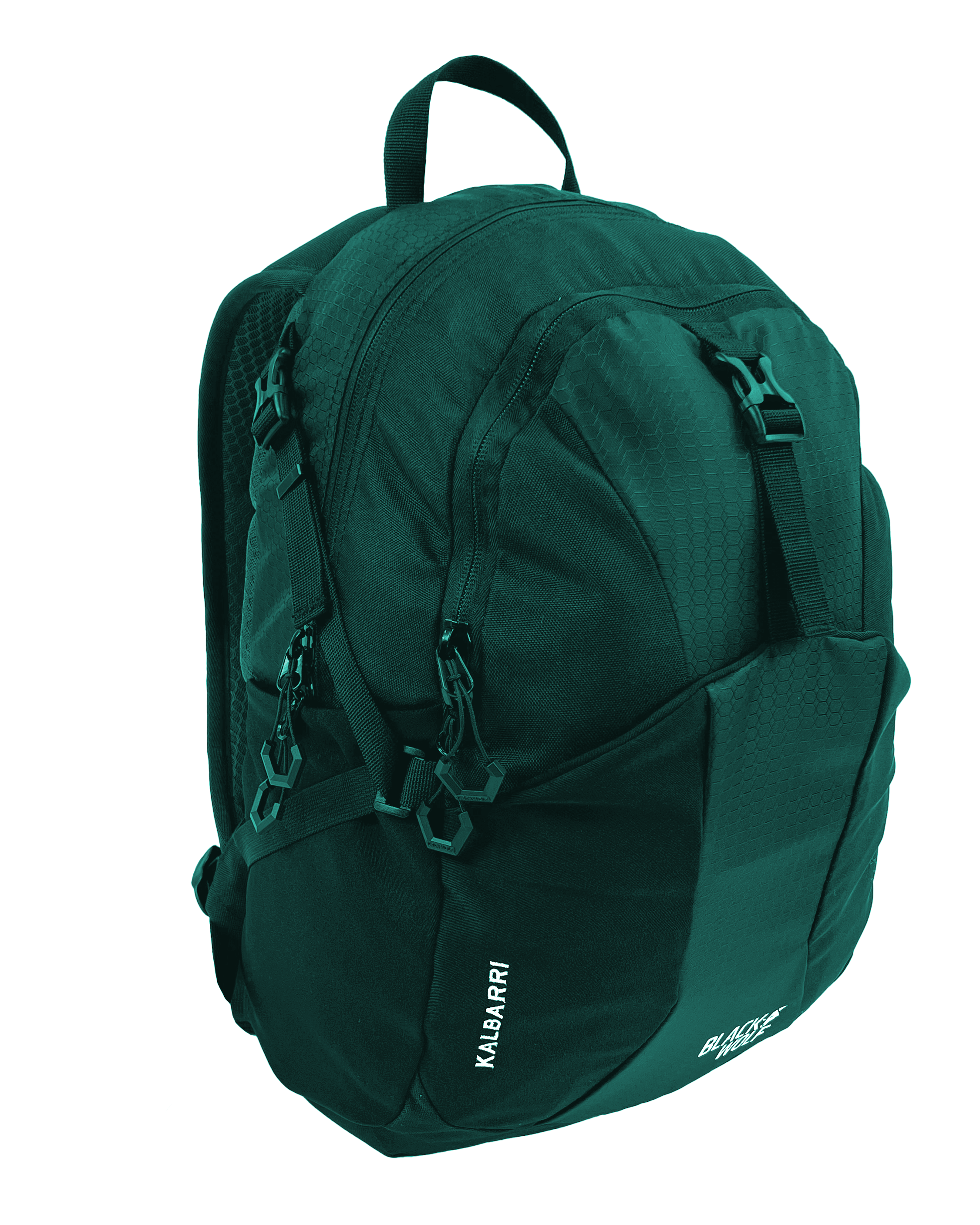 Black Wolf - Kalbarri 20L Backpack - Quetzal Green