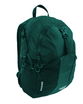 Black Wolf - Kalbarri 20L Backpack - Quetzal Green
