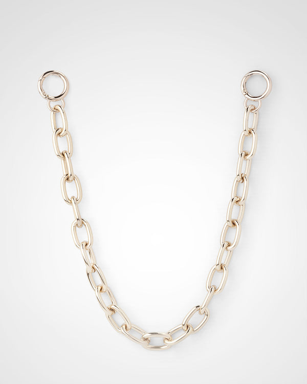 Monica Camera Crossbody Bag + Large Link Chain Strap