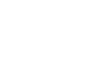Pacsafe