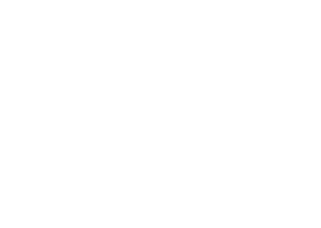 Serenade Handbags & Wallets