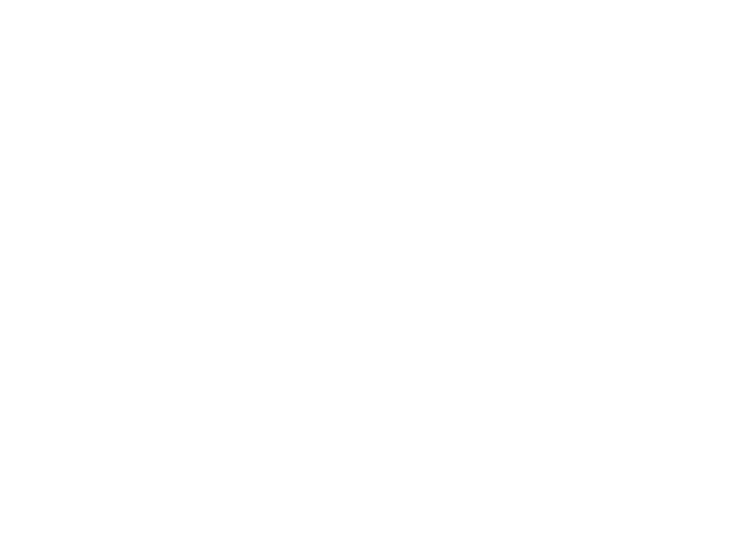 American Tourister Luggage