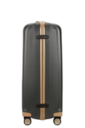 hardcase golden accent 